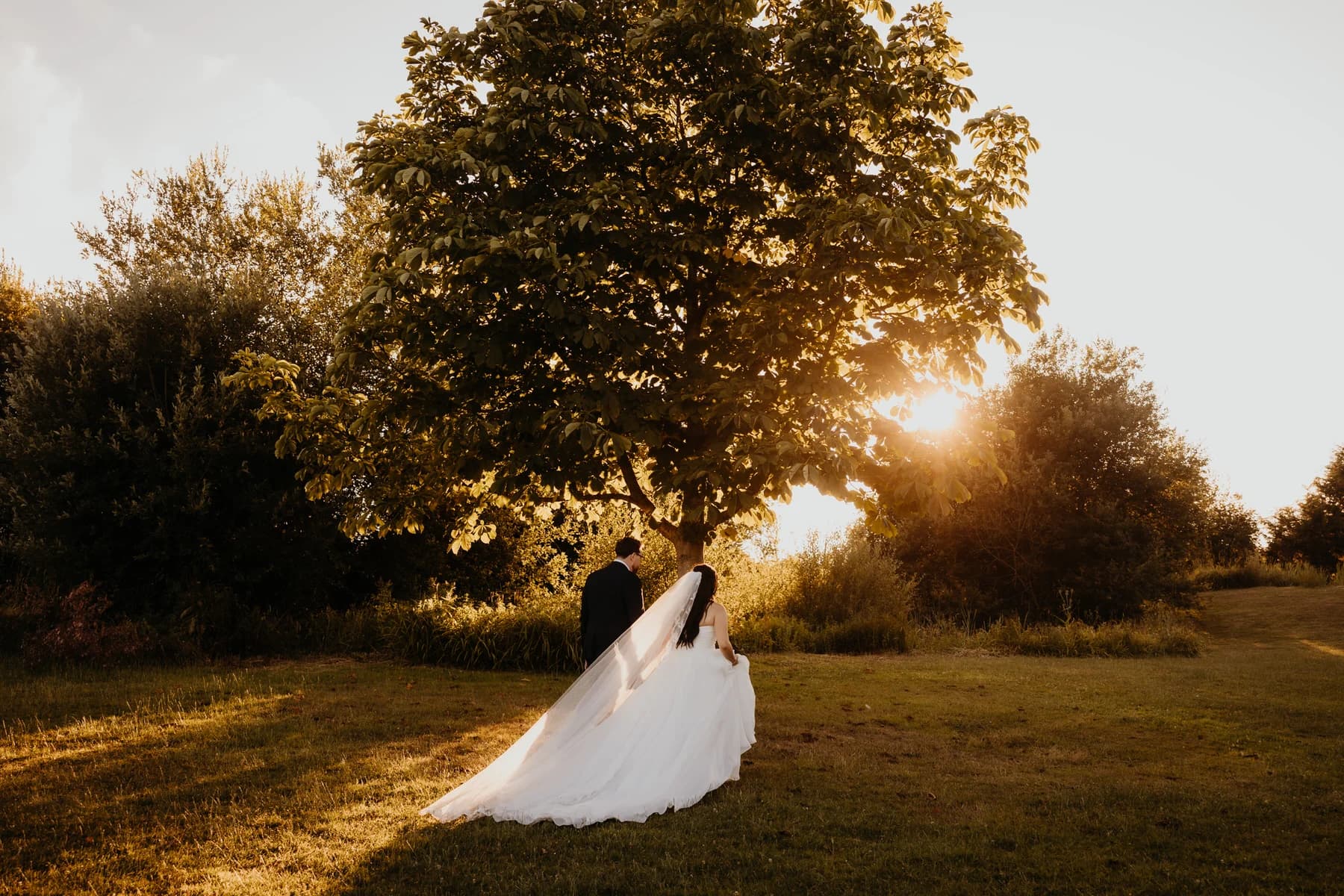 A couple at golden hour beneath a tree, photographed by a UNVL supplier